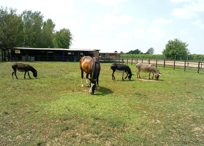 Casa Carpanelli Nonantola