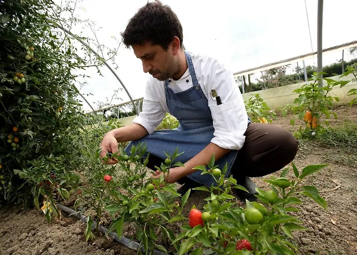 Farma Casa Carpanelli *