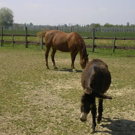 Agroturismo Casa Carpanelli