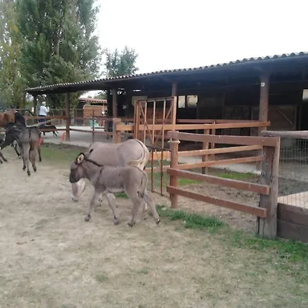 Casa Carpanelli Nonantola