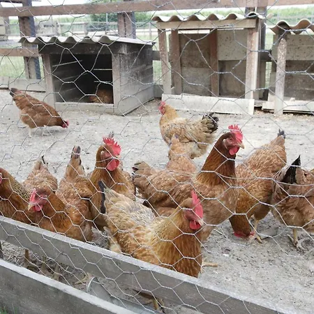 Casa Carpanelli * Nonantola