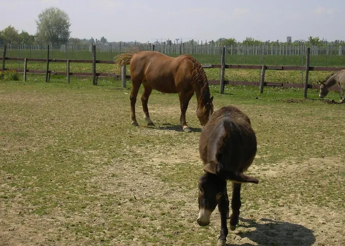 Agroturismo Casa Carpanelli