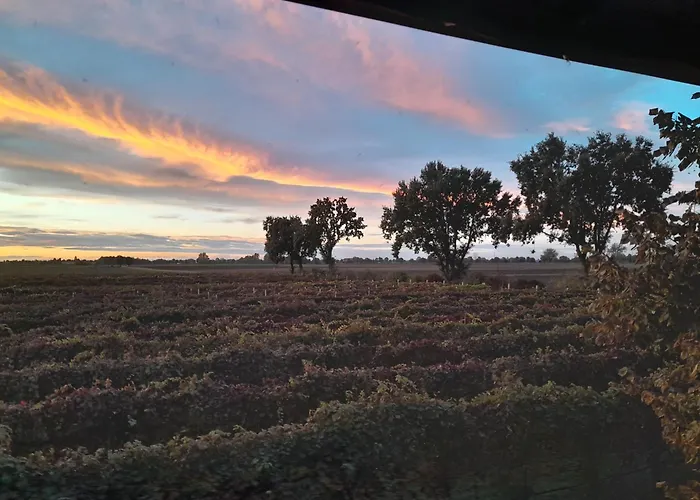 Agroturismo Casa Carpanelli