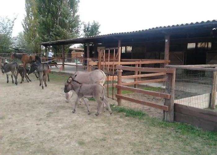 Casa Carpanelli Nonantola