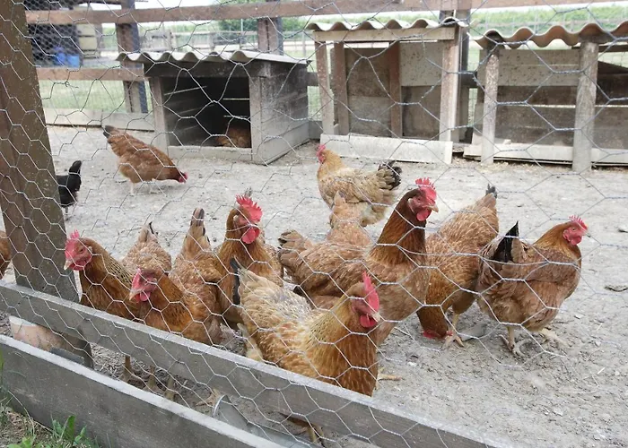 Casa Carpanelli * Nonantola